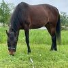 njcountrygirl